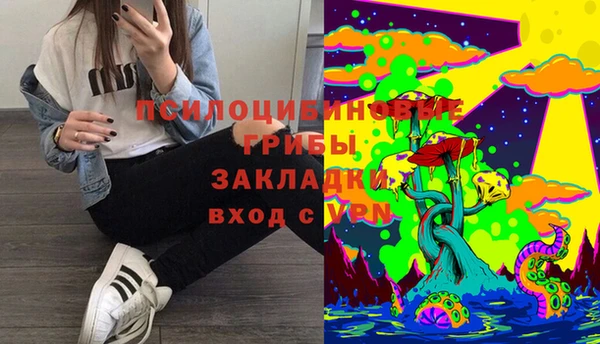 2c-b Алексин