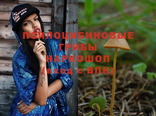 дмт Саяногорск